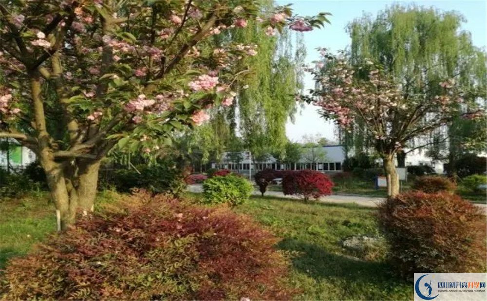 四川師范大學(xué)附屬第三實(shí)驗(yàn)中學(xué)實(shí)驗(yàn)班人數(shù)是多少？