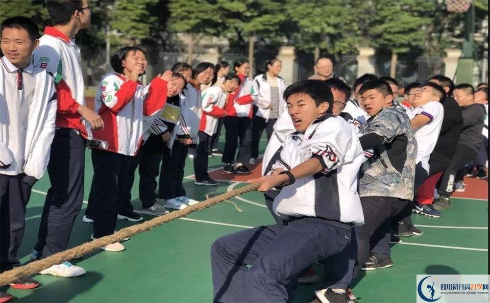 成都樹德中學(xué)面向全國招生嗎？