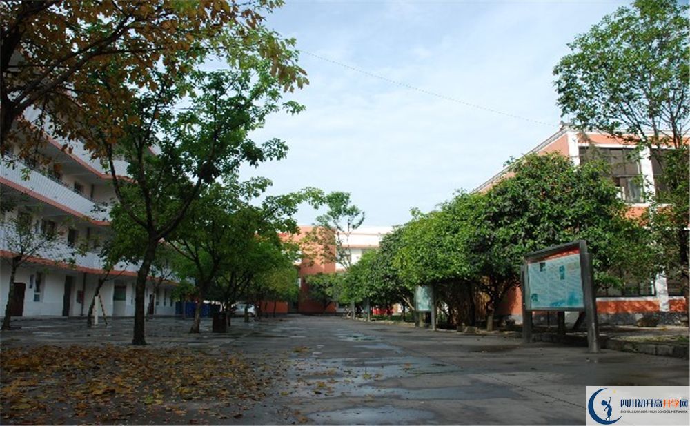 大邑中學(xué)平行班中考重點(diǎn)率是多少？