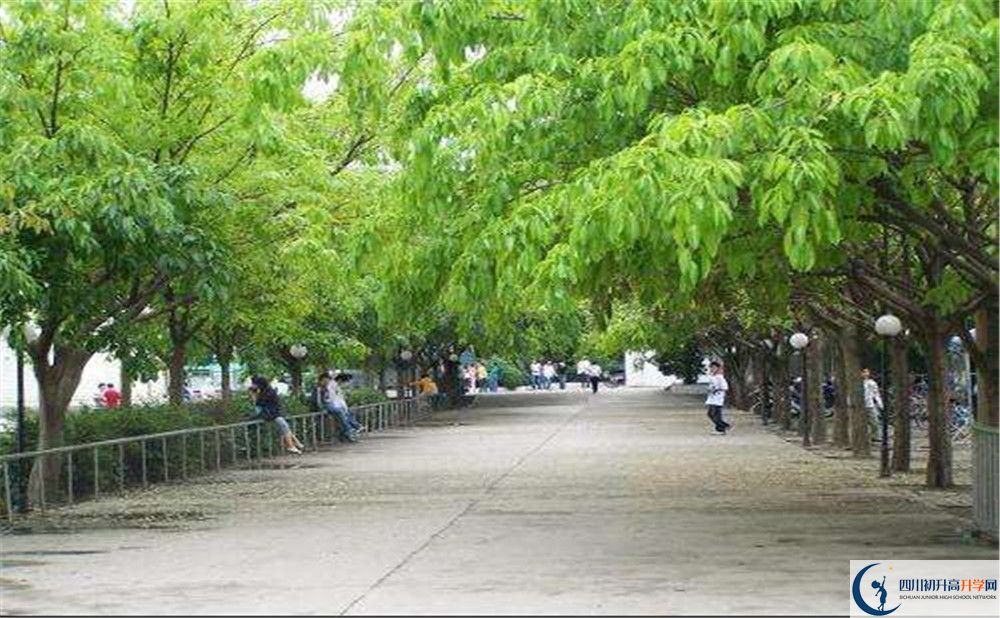 金堂實驗中學在校學生總?cè)藬?shù)是多少？
