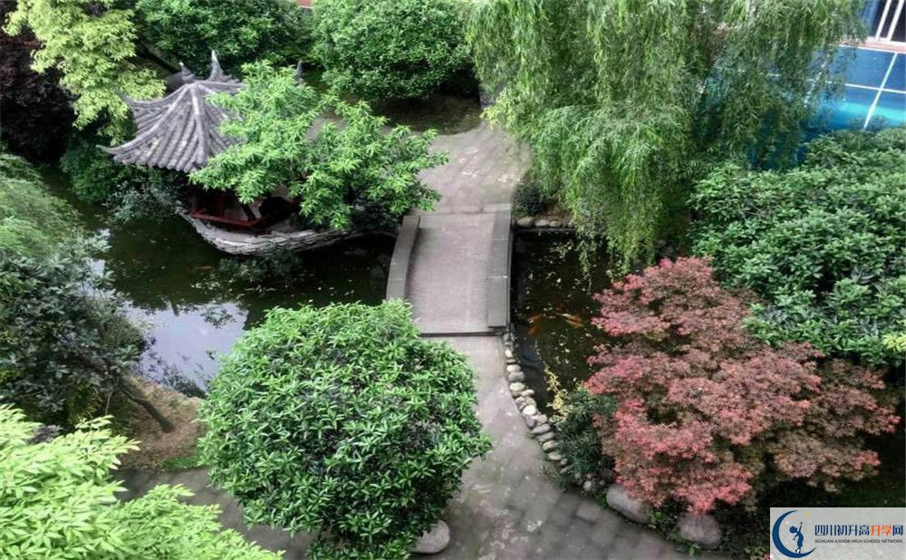 成都八中今年的錄取條件是否有變化？