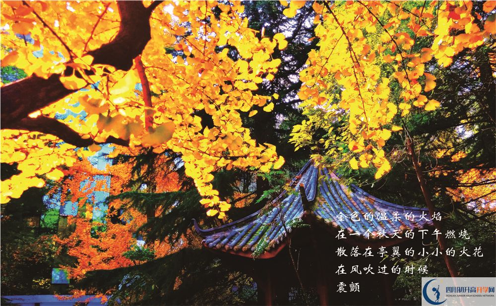 成都七中初三課程資源在哪里看？
