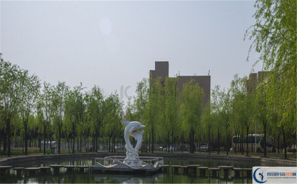 鹽亭中學(xué)2020年開學(xué)時(shí)間安排是怎么樣的？