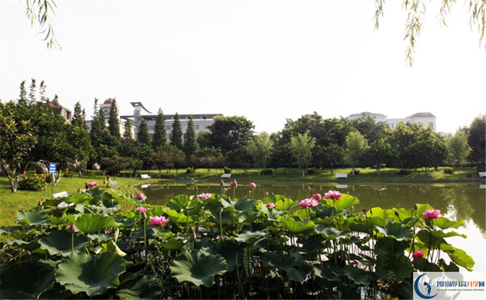 2020乘風(fēng)外國(guó)語(yǔ)實(shí)驗(yàn)中學(xué)初升高錄取分?jǐn)?shù)線是否有調(diào)整？