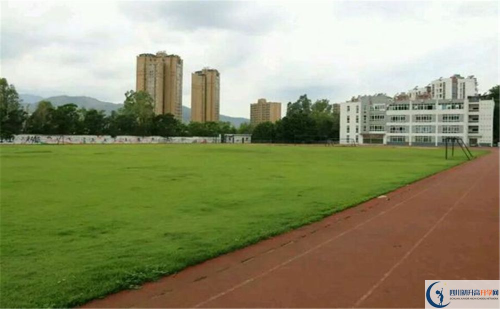 四川省攀枝花市第九中學(xué)高一分班嗎？