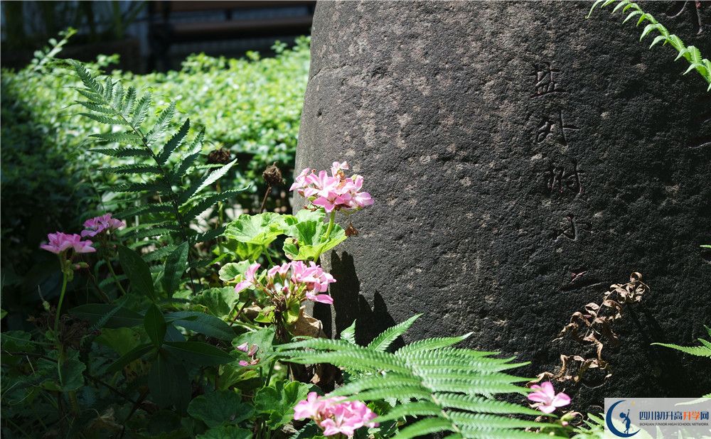 成都經(jīng)濟(jì)技術(shù)開發(fā)區(qū)實(shí)驗(yàn)中學(xué)2020年中考收分線是多少？