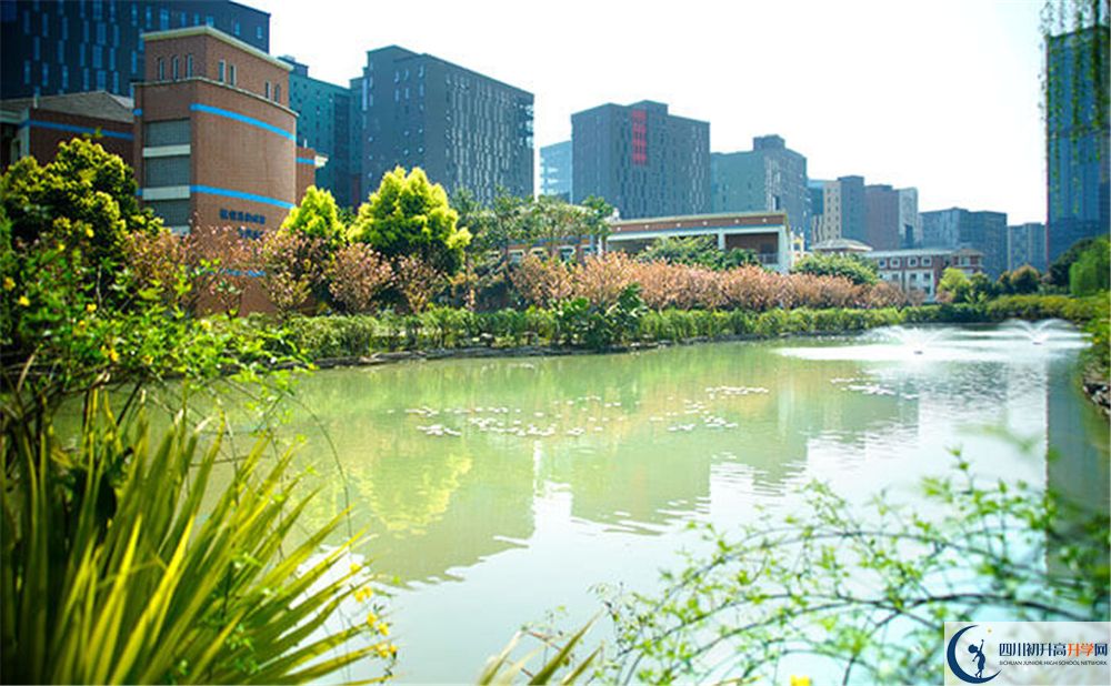 成都美視國際學(xué)校2020年怎么走？