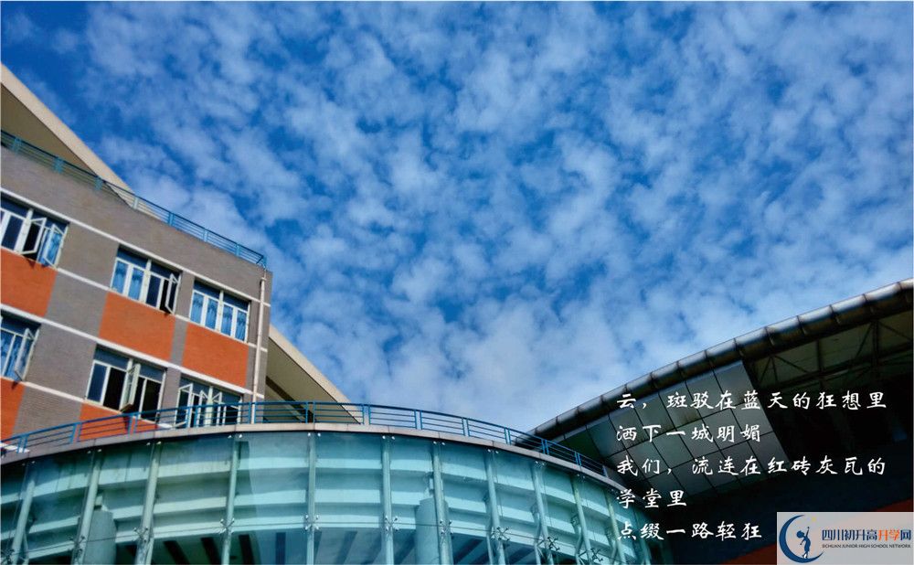 成都七中高新校區(qū)2020年招生計(jì)劃是什么？