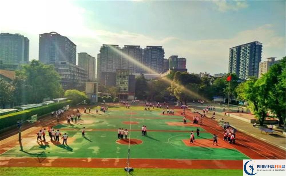 樹德協(xié)進中學2020年是省一級嗎？
