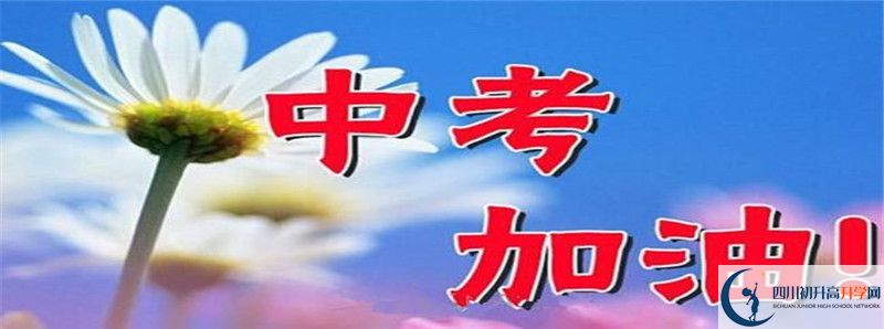 2021年新格林藝術(shù)高級(jí)中學(xué)校初升高招生政策是什么？